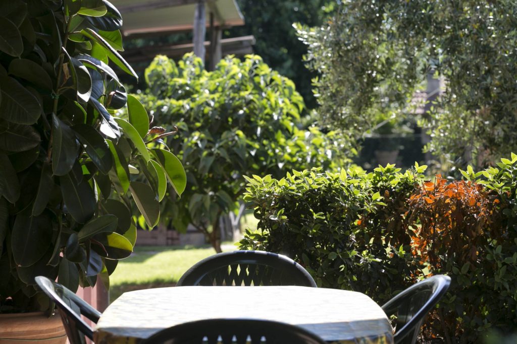 Casina (5)